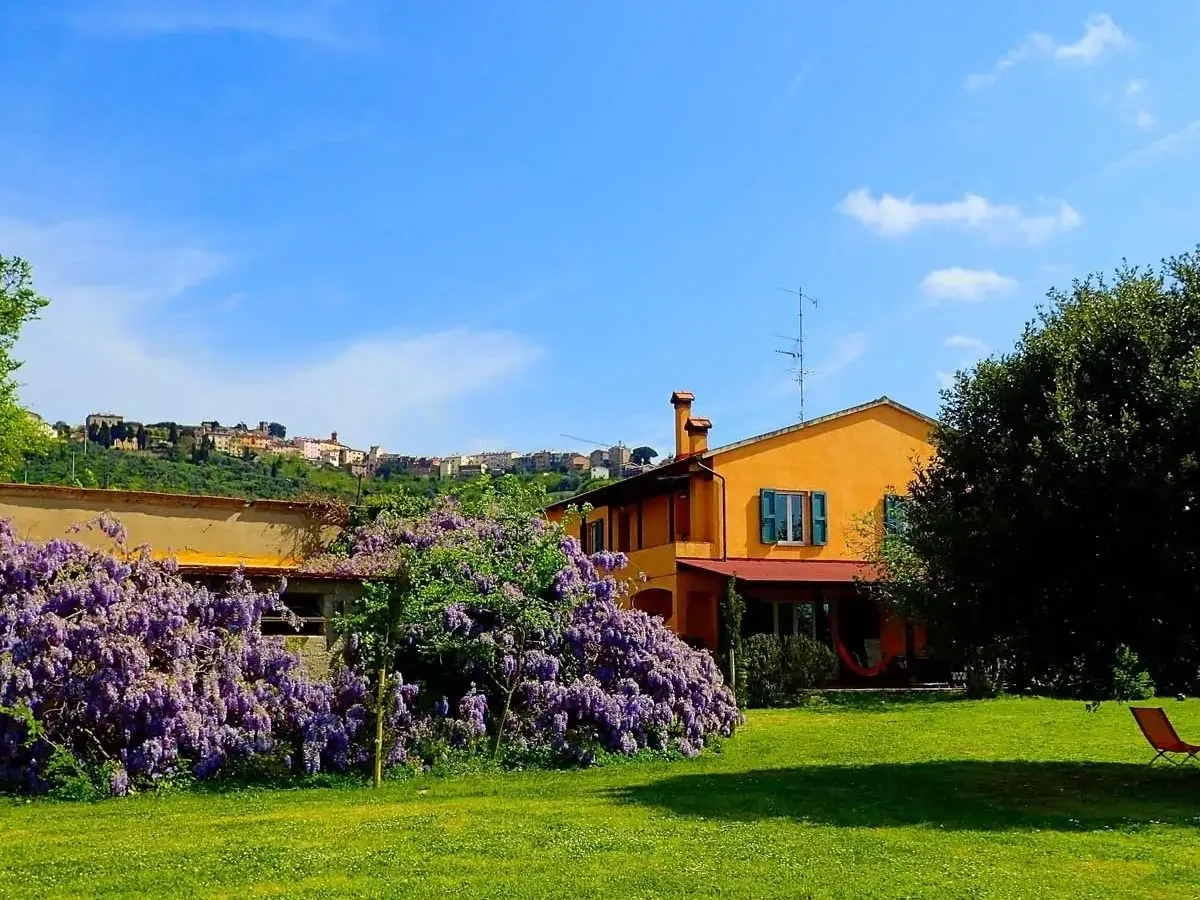 Picture of La Casa Toscana and garden in Bolgheri Tuscany